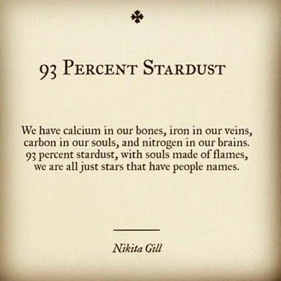 Meet your Posher, Monica - Picture 1 of 2